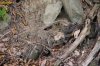 Wycieczka klasy 1d w Bieszczady - październik 2018