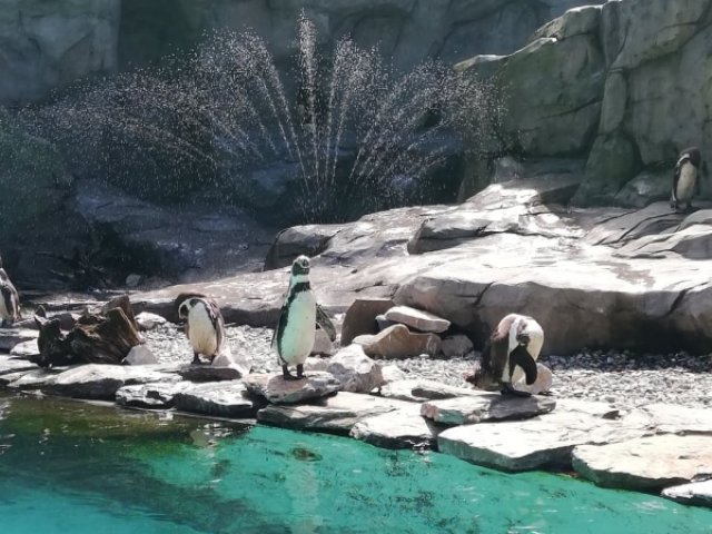 Z wizytą w Ogrodzie Zoologicznym i Ogrodzie Botanicznym w Krakowie 