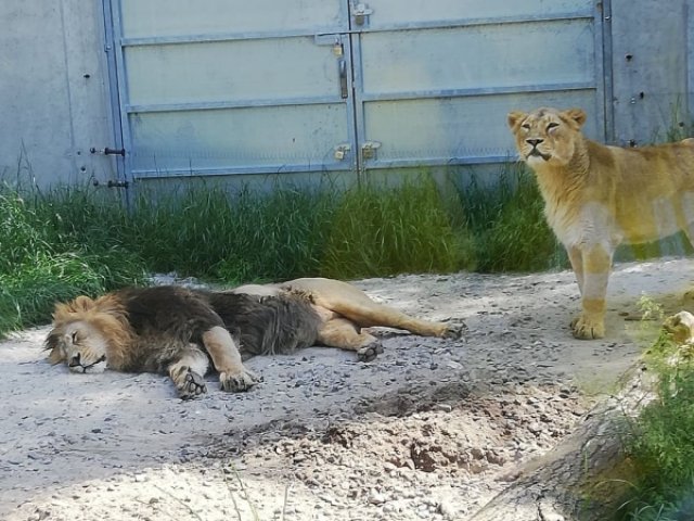 Z wizytą w Ogrodzie Zoologicznym i Ogrodzie Botanicznym w Krakowie 