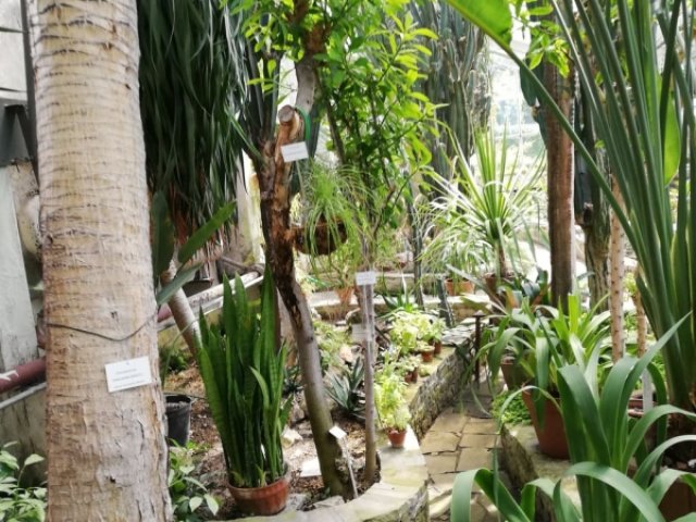 Z wizytą w Ogrodzie Zoologicznym i Ogrodzie Botanicznym w Krakowie 