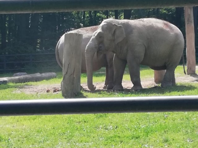 Z wizytą w Ogrodzie Zoologicznym i Ogrodzie Botanicznym w Krakowie 