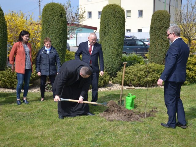 Uroczyste sadzenie dębu "Piotr"