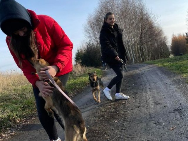 Olimpiada Zwolnieni z Teorii