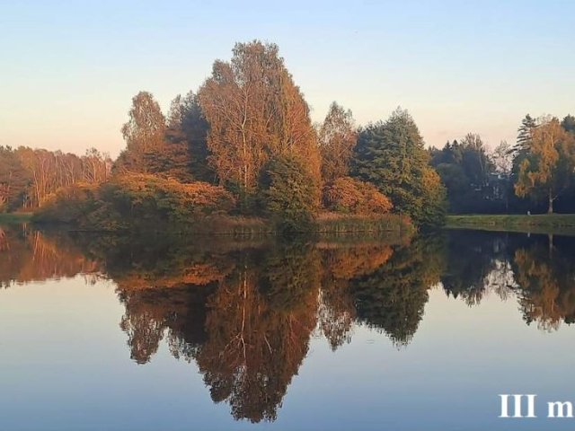 Więcej dla oczu, więcej dla umysłu! Czy matematykę można sfotografować? 