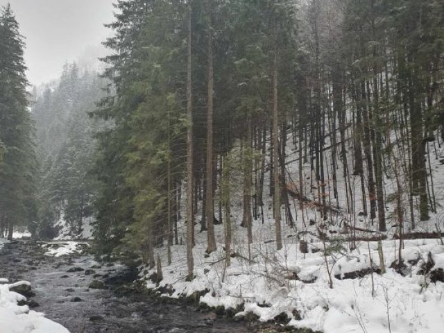 „Tatry zimą” – wycieczka do Zakopanego