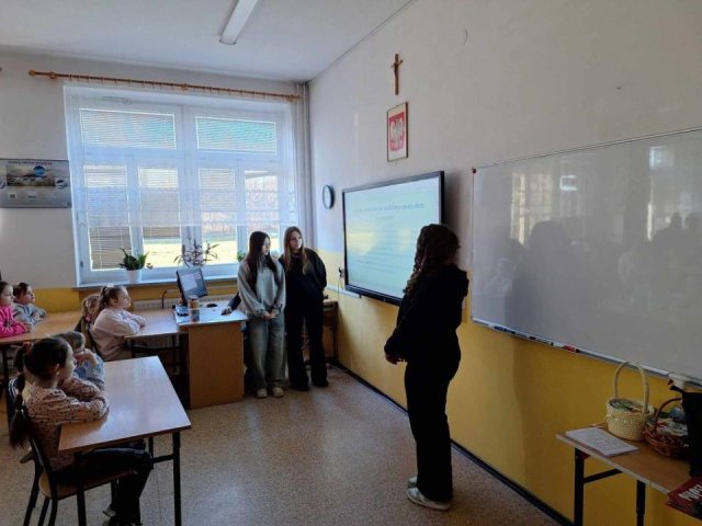 Projekt Karmimy Schroniska 2
