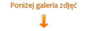 ponizej